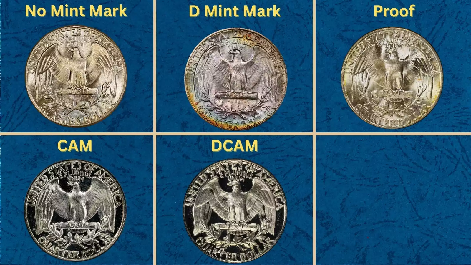 Group of 1951 Washington quarter varieties showing Philadelphia, Denver, San Francisco and Proof examples side by side